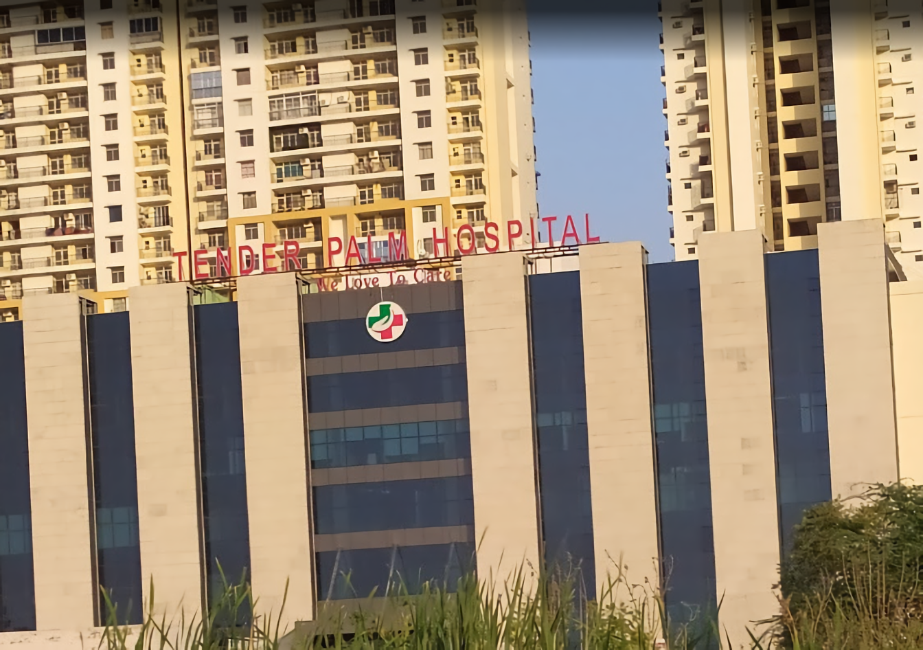 Tender Palm Hospital