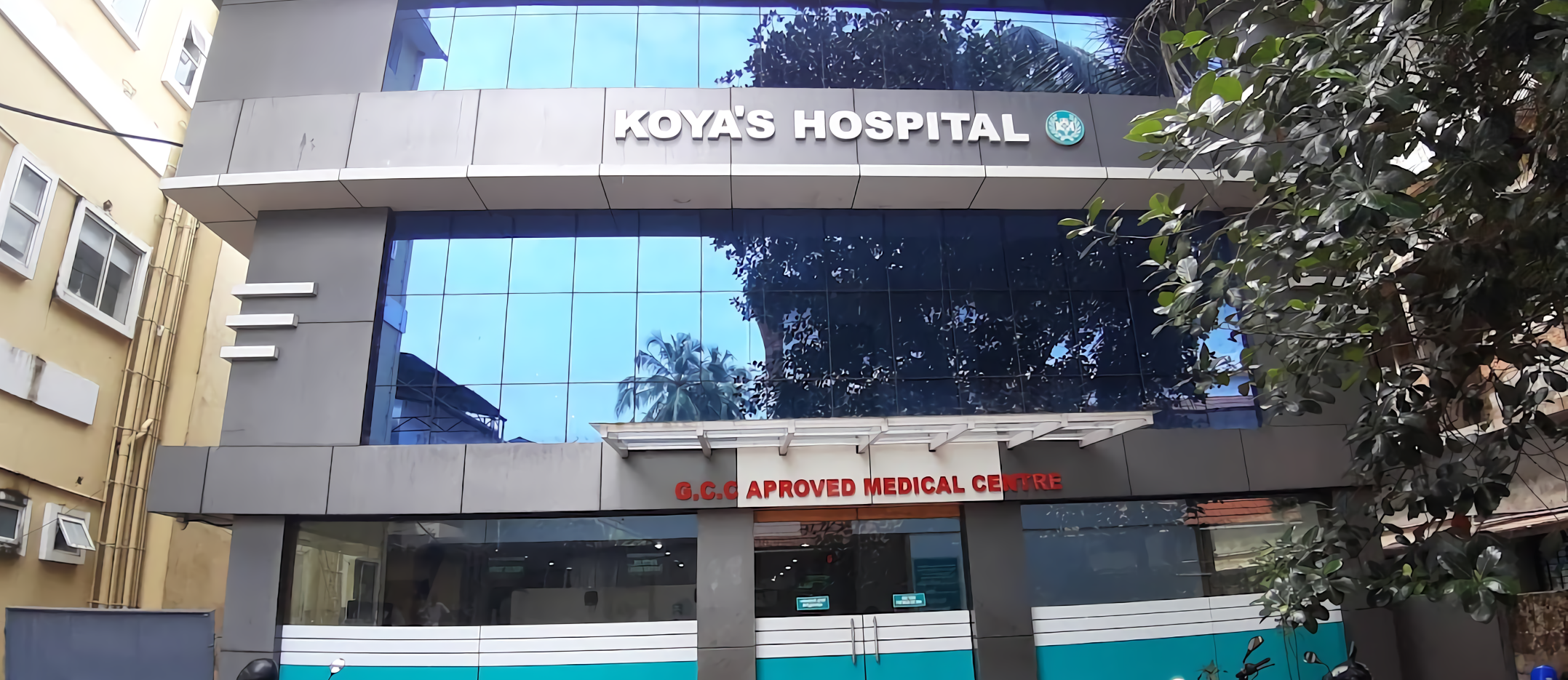 Koya's Hospital