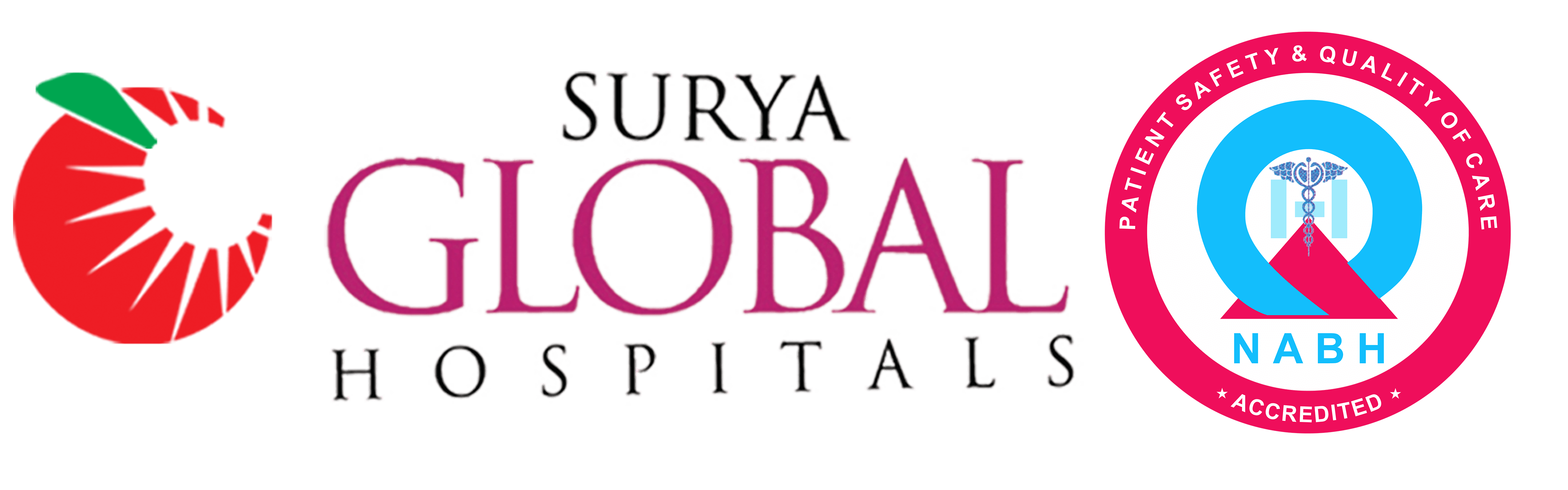 Surya Global Hospital logo