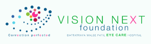 Vision Next Foundation logo