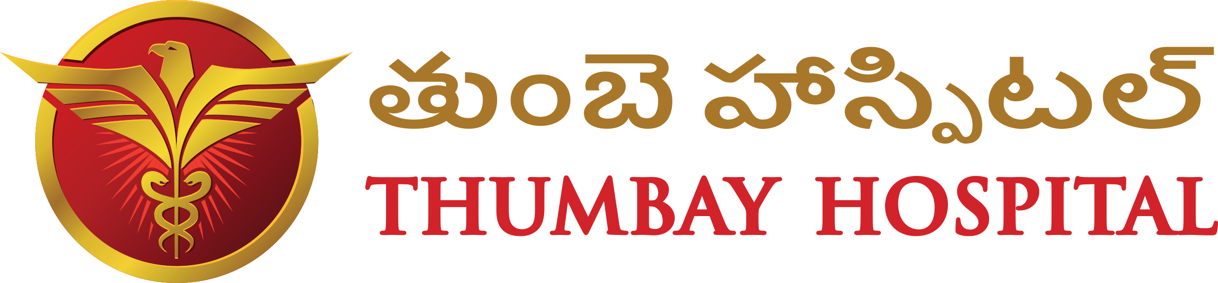 Thumbay Hospital New Life logo