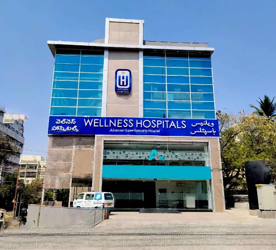 Wellness Hospital - BN Reddy Nagar