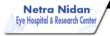 Netra Nidan Eye Hospital And Research Centre logo