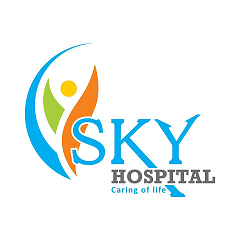 Sky Hospital logo