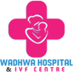 Wadhwa Hospital And IVF Centre logo