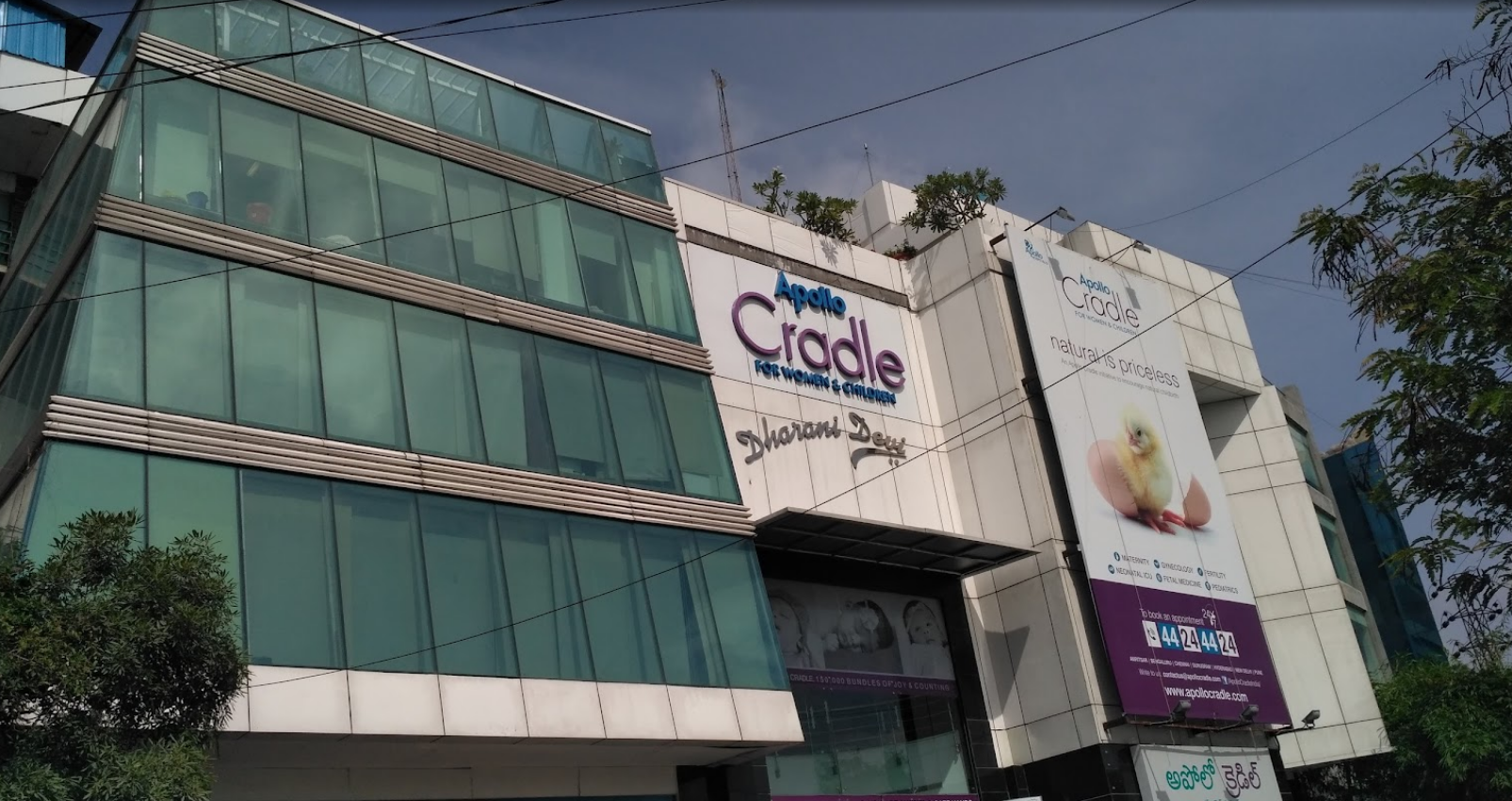 Apollo Cradle - Jubilee Hills photo