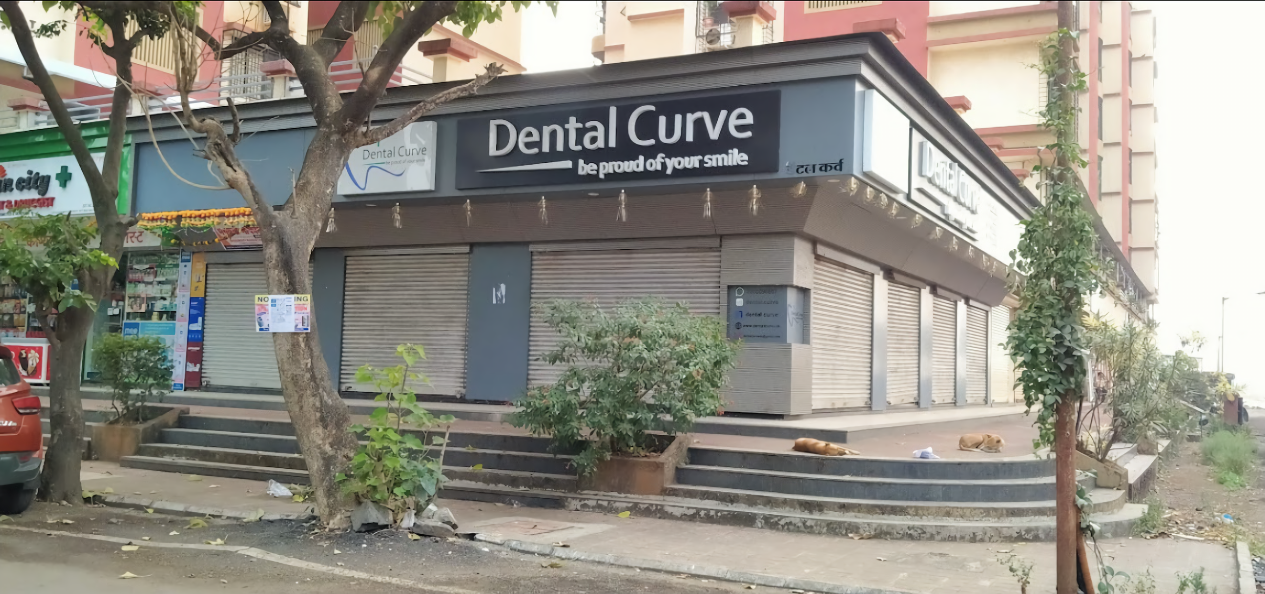 Dental Curve
