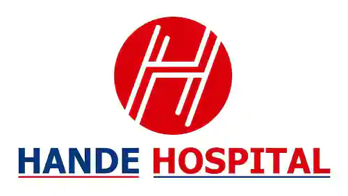 Hande Hospital logo