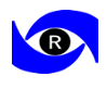 Ruby Eye Hospital logo