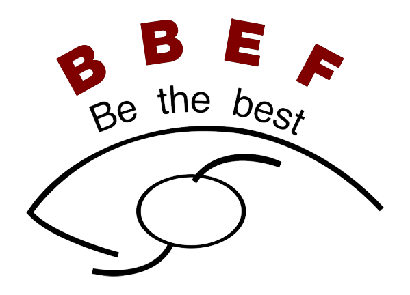 B B Eye Foundation logo