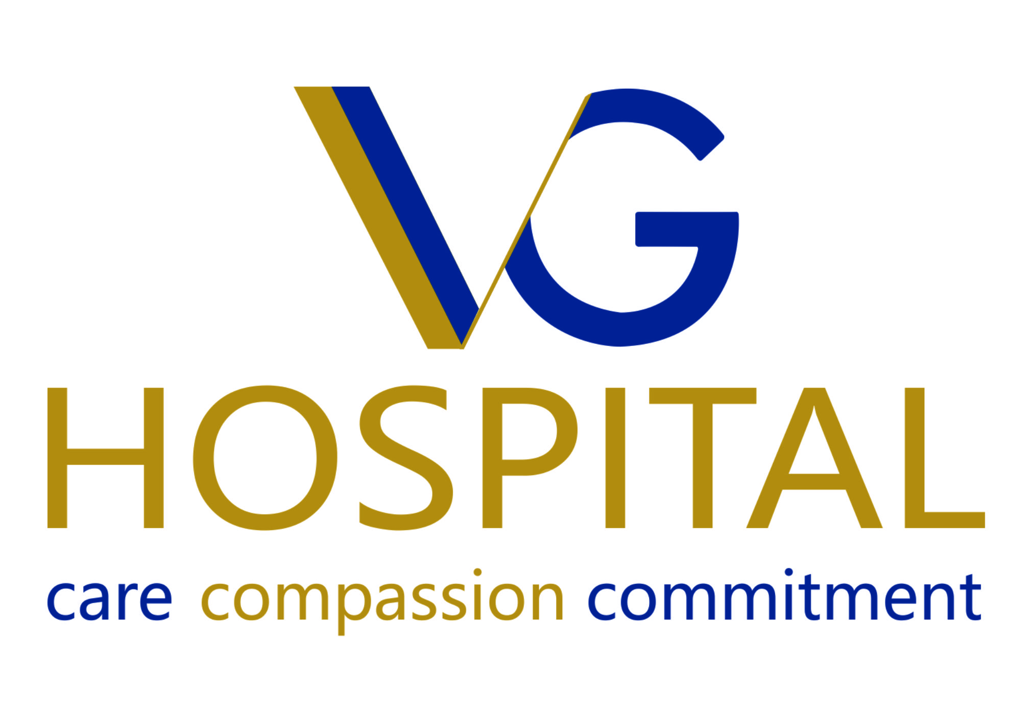 V G Hospital logo