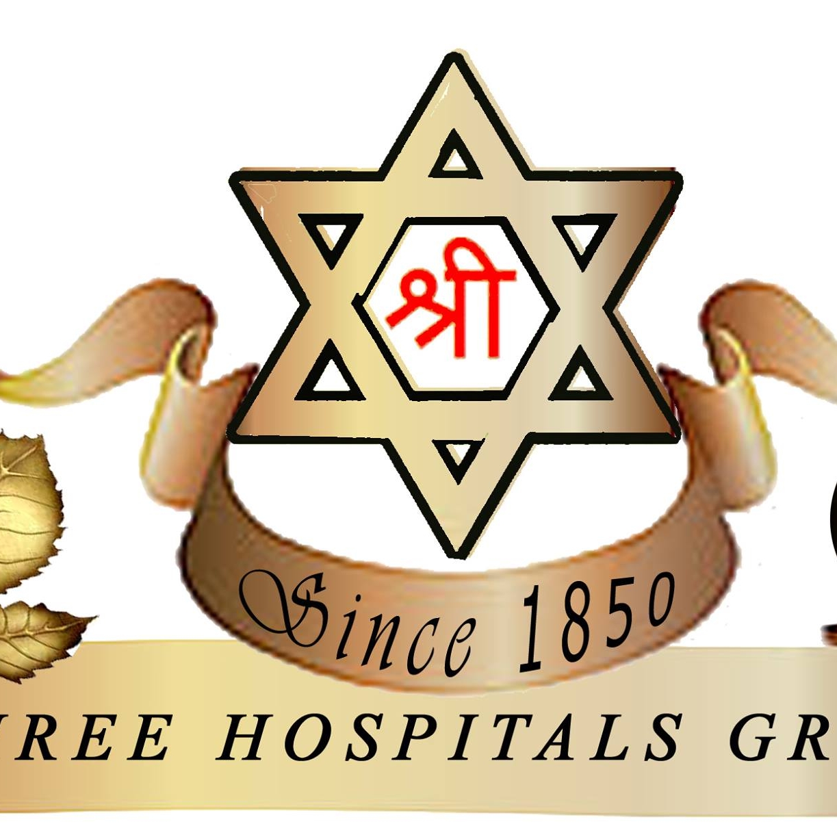 Shree Ayurvedic Multispeciality Hospital logo