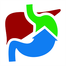 Dr. N. A. Rajesh Gastro Foundation logo