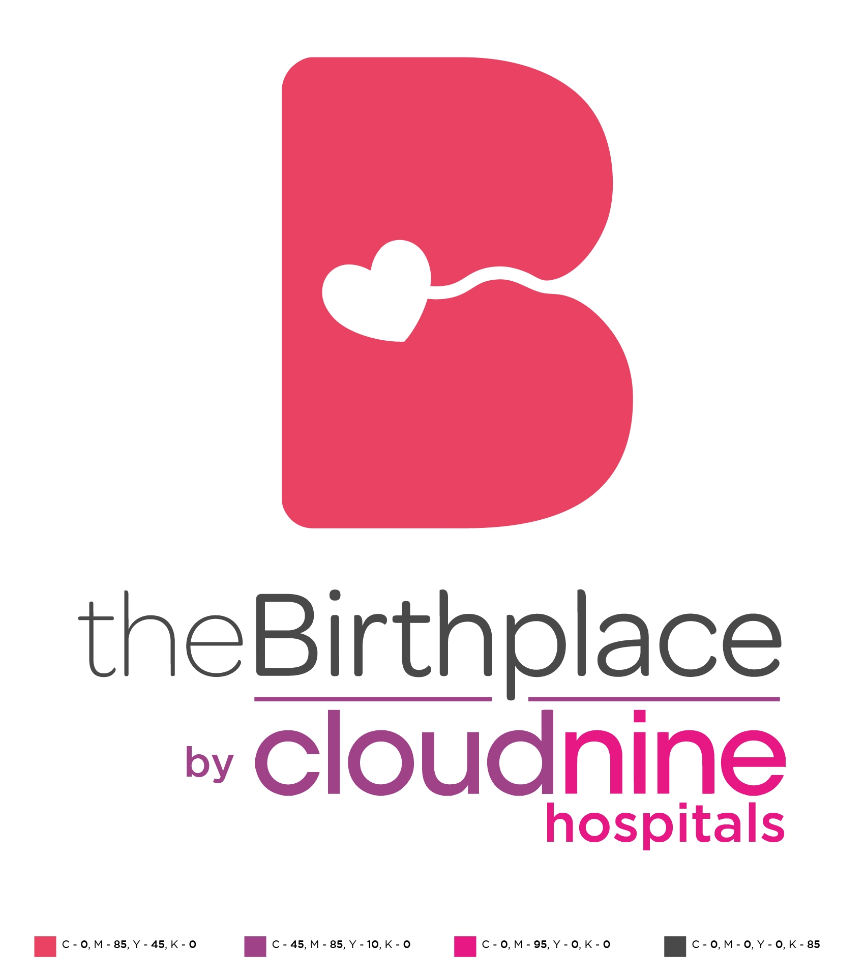 The Birthplace Clinic logo