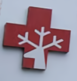 Lalita Memorial Hospital Ltd logo